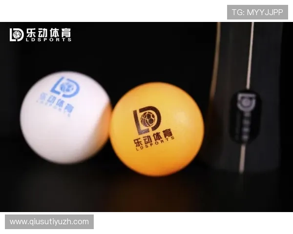 乐动体育官网入口网页版常见故障排查与技术支持联系方式